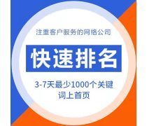 合肥网站优化|安徽沃龙网络推广|网站优化公司